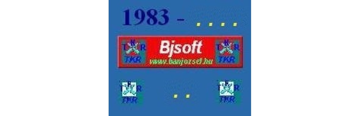bjsoft-2